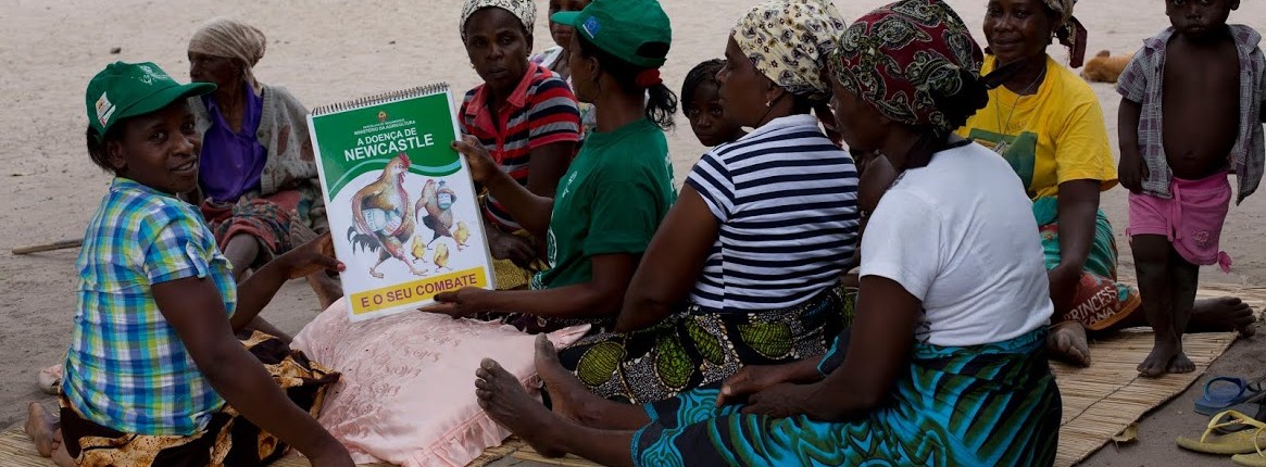 KYEEMA core activities
