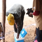 Community vaccinator taking vaccine from cooler box prior to vaccinating chickens