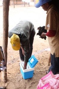 Community vaccinator taking vaccine from cooler box prior to vaccinating chickens