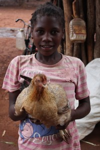 Family poultry KYEEMA 5