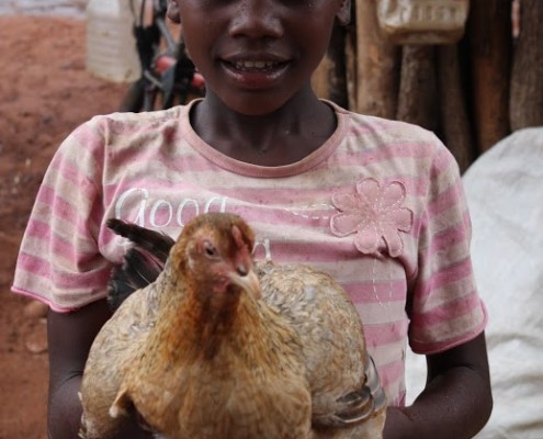 Family poultry KYEEMA 5
