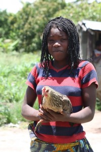 Family poultry KYEEMA 3