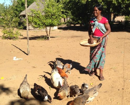 Jacqueline poultry farmer