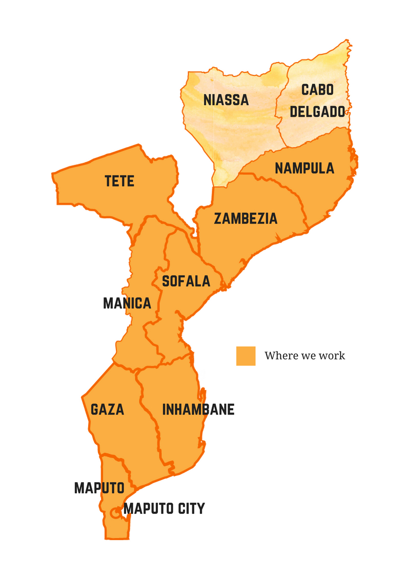 Mozambique Kyeema Foundation   Mozambique Project Provinces Map 