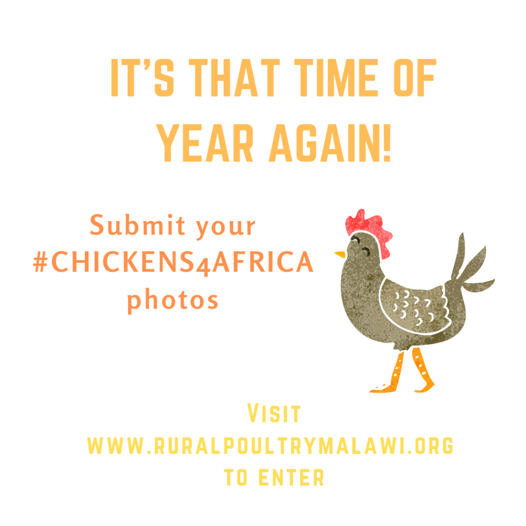 Chickens4Africa instagram