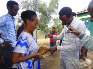 Ethiopia ANCP