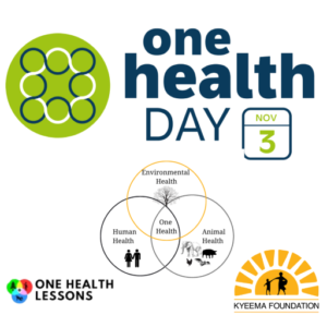 One health day