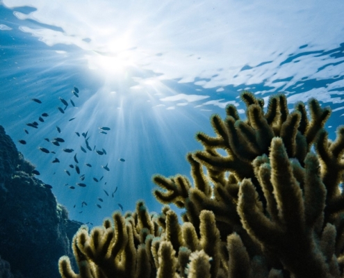 Nature-based solutions