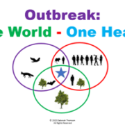 One Health Lessons pilot