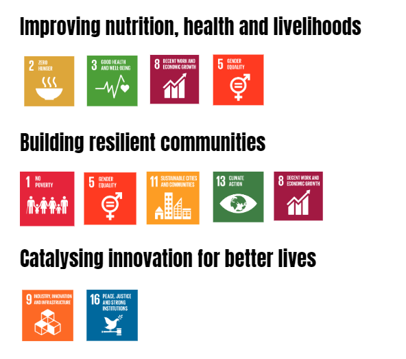 SDG global goals