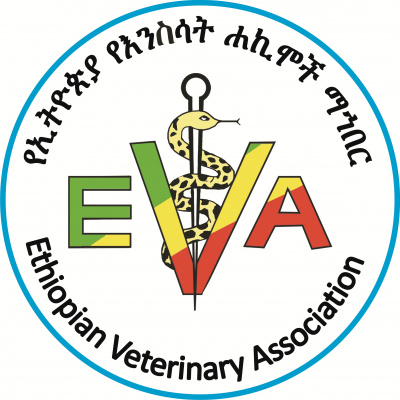 EVA Logo