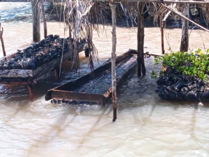Mangroves and climate change: Resilient communities