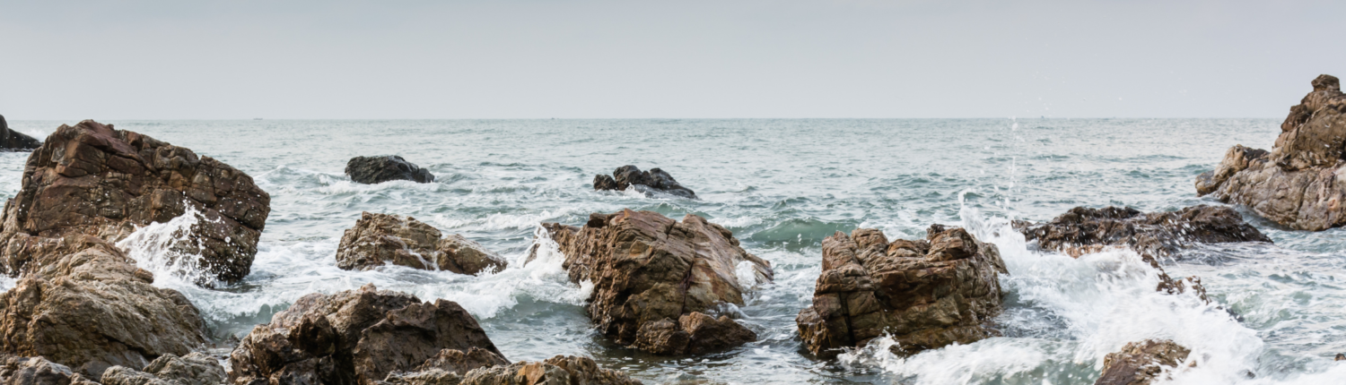 Oyster Heaven: Innovation for oyster reef restoration