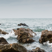 Oyster Heaven: Innovation for oyster reef restoration