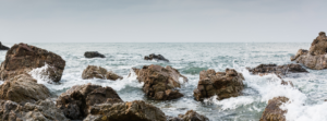 Oyster Heaven: Innovation for oyster reef restoration