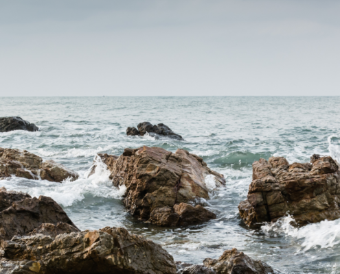 Oyster Heaven: Innovation for oyster reef restoration