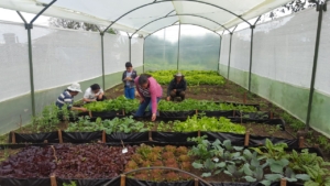 Our Communities Fund PSF