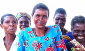 Malawi, Donate Page