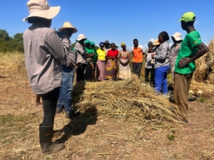 SWEF project Mozambique