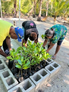 World Environment Day Tubusereia
