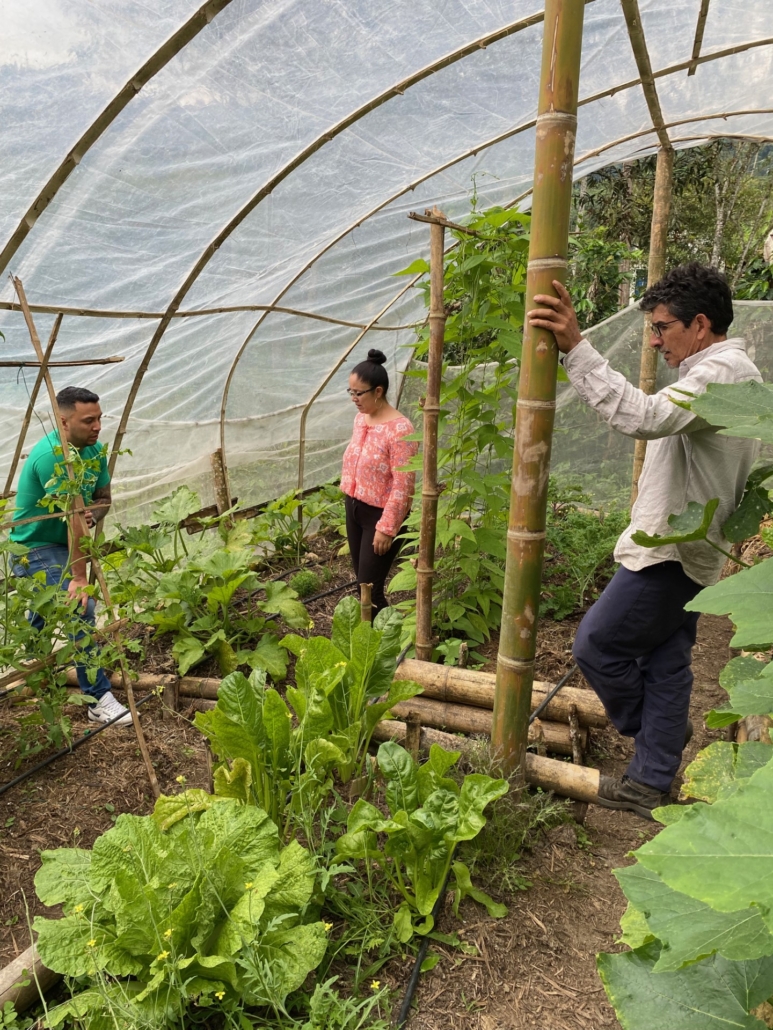 PSF Colombia