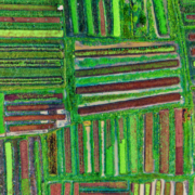 regenerative agriculture