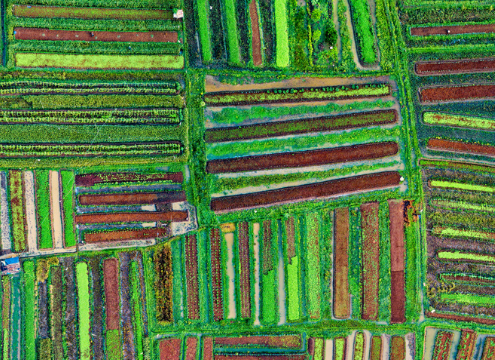 regenerative agriculture