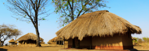 Village Poultry for Better Livelihoods