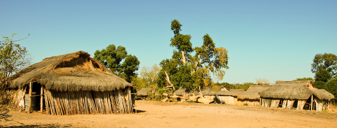 Village Poultry for Better Livelihoods