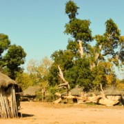 Village Poultry for Better Livelihoods