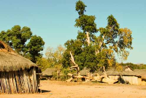 Village Poultry for Better Livelihoods