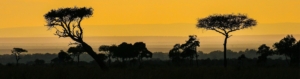 VetAid Banner