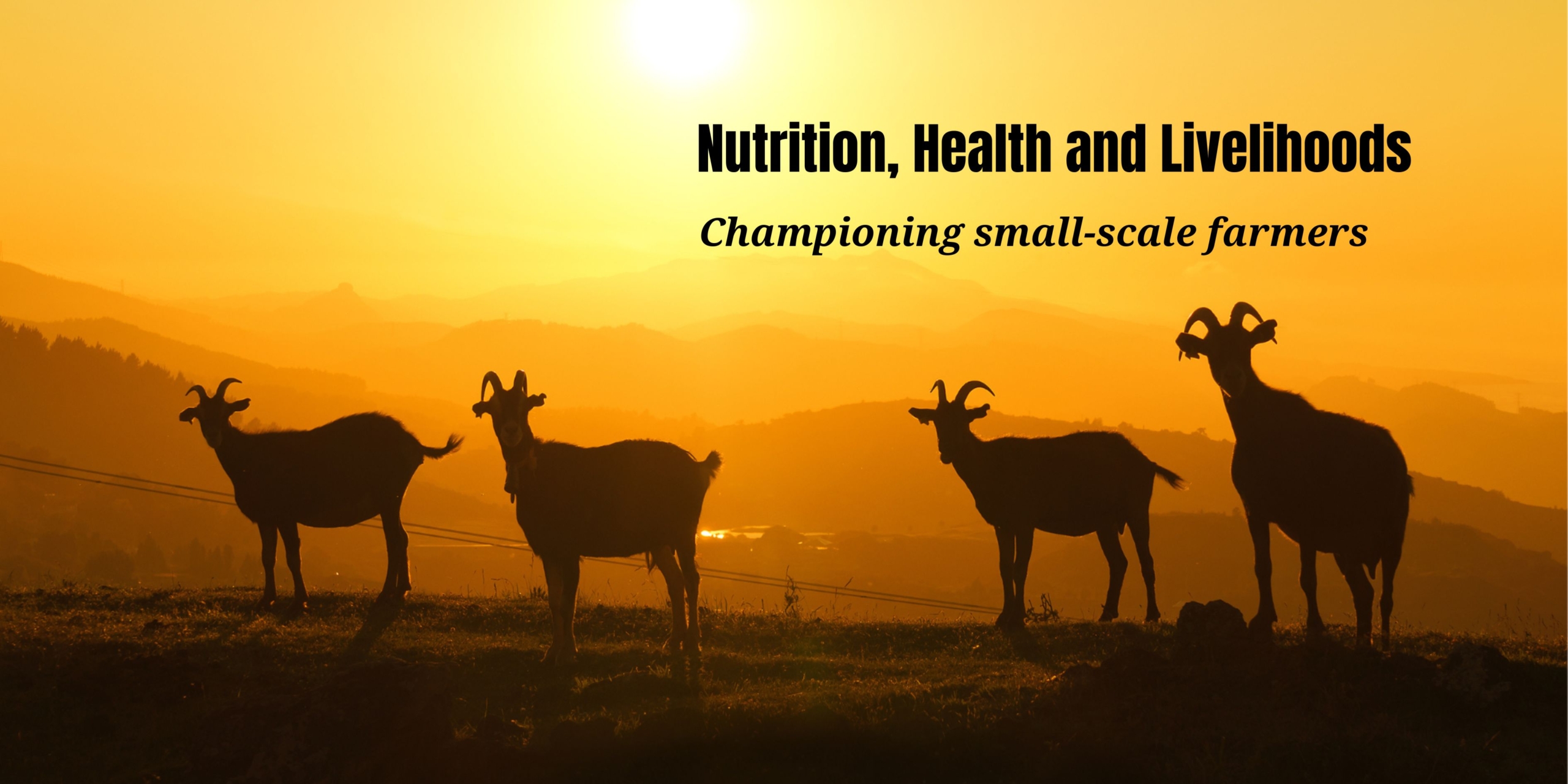 Nutrition, Health and Livelihoods AR