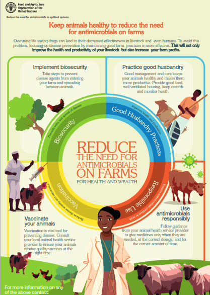 Antimicrobial Resistance (AMR) poster