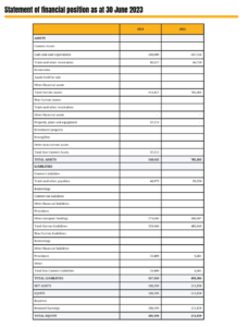statement of financial position