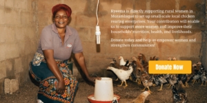 Mozambique donate card