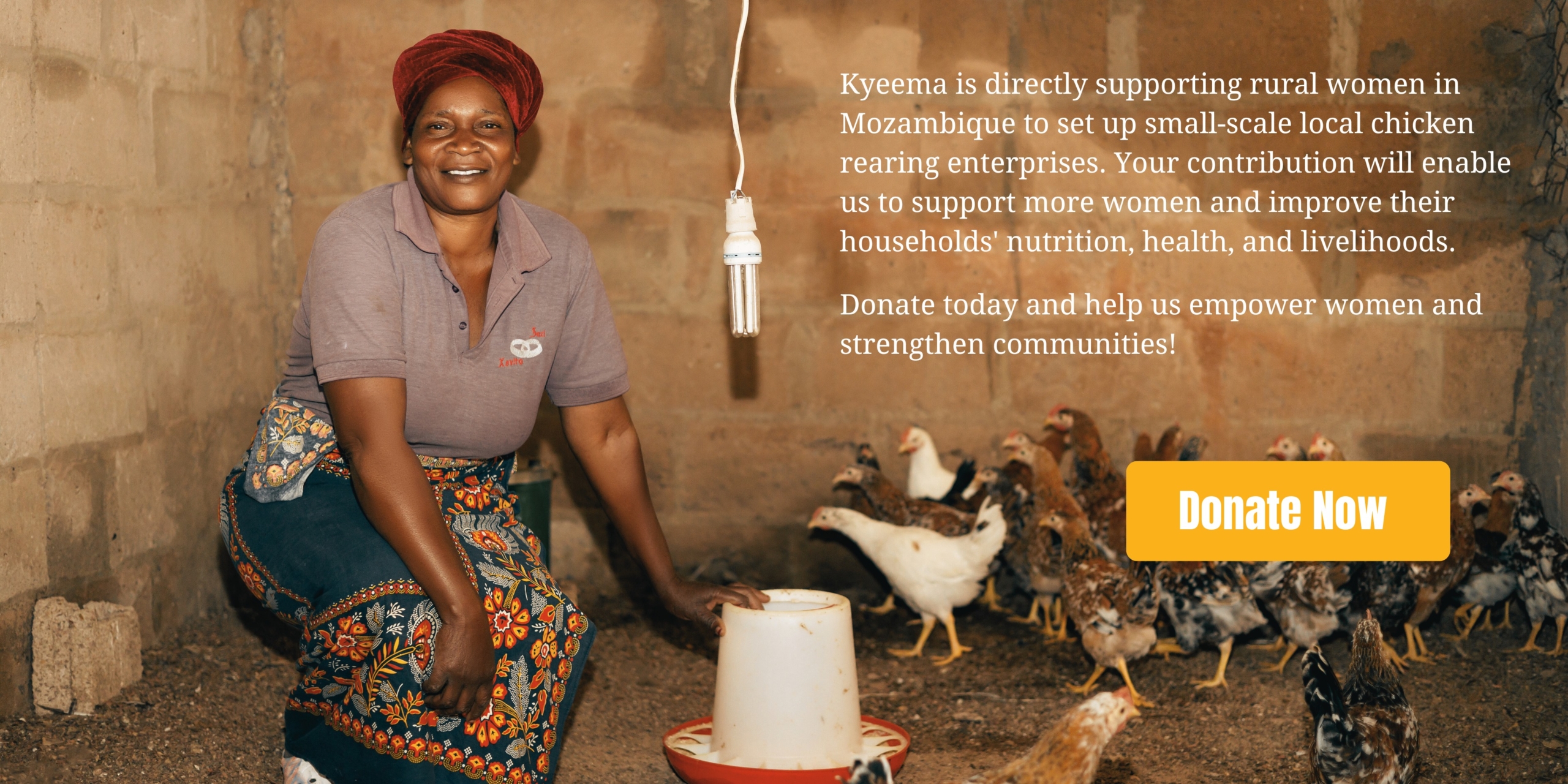 Mozambique donate card