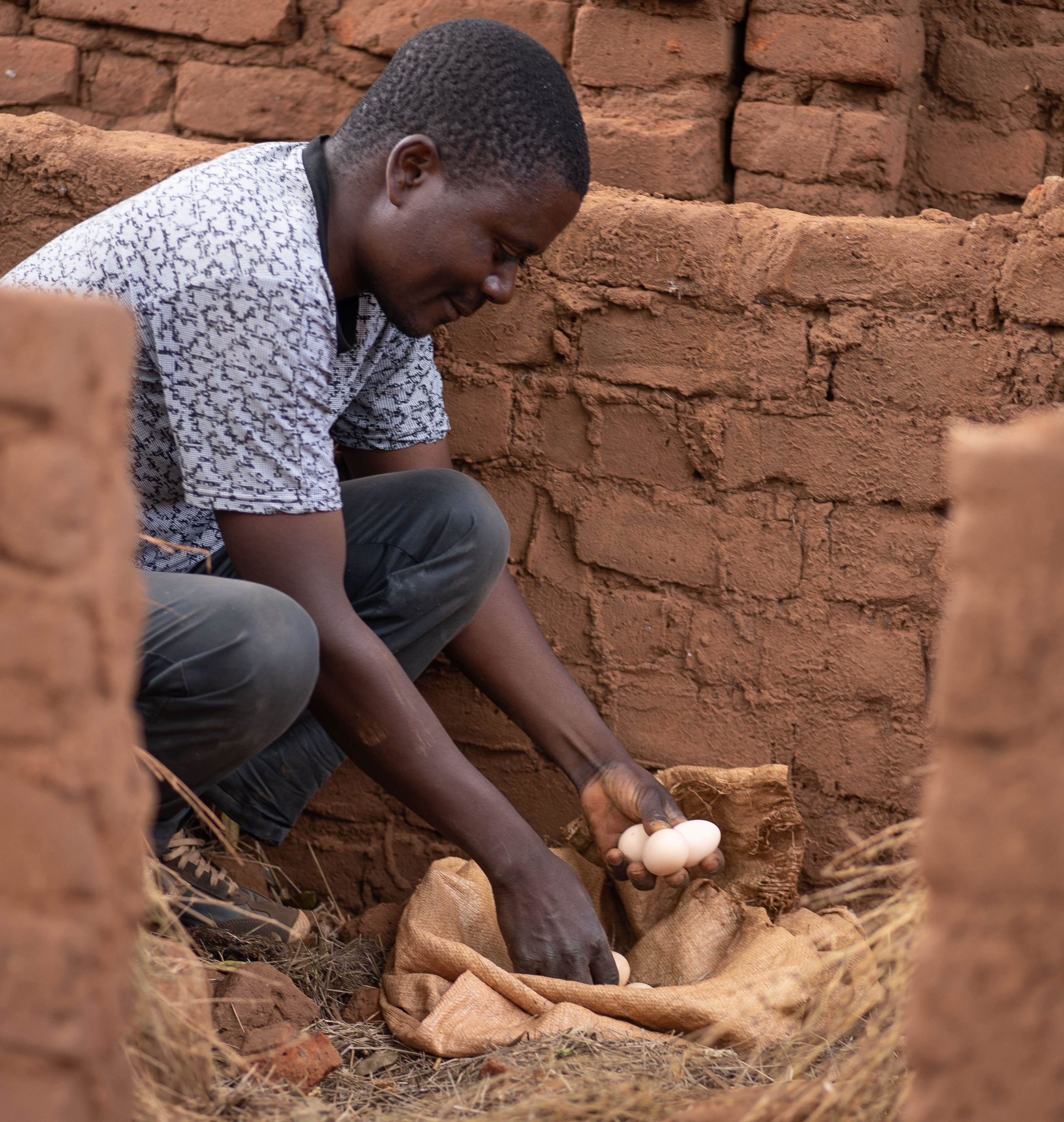 Village Poultry for Better Livelihoods