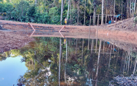 Acate Amazon Conservation Our Communities