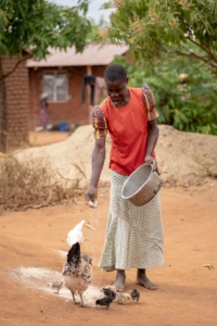 Rural Poultry Centre Our Communities