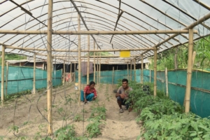 A New Path for Women in Lalitpur