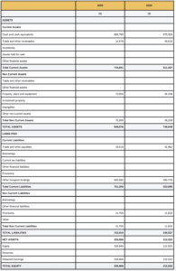 Statement of financial position as at 30 June 2025 annual report 24-25