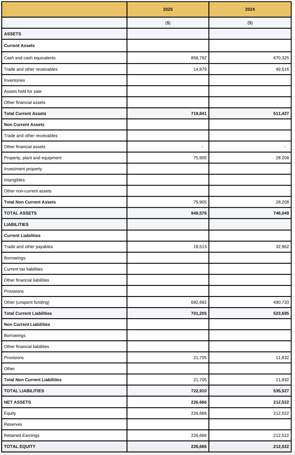 Statement of financial position as at 30 June 2025 annual report 24-25