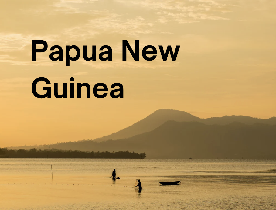 Papua New Guinea Annual Report heading