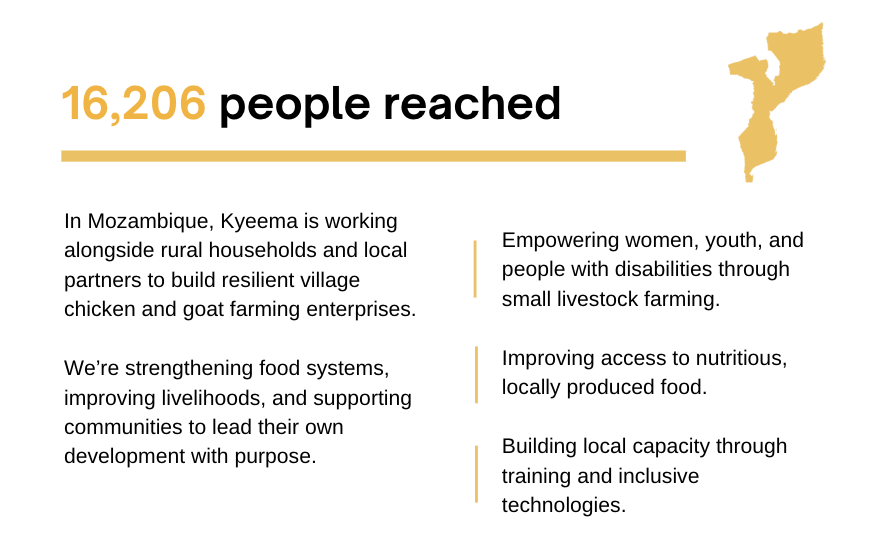 Mozambique Annual Report 24-25