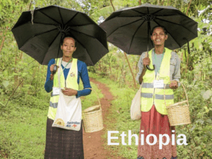Ethiopia