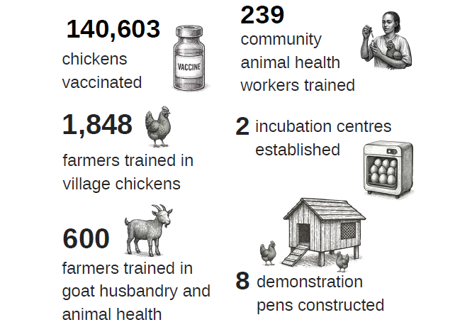 AID-I stats infogrpaphic Kyeema Foundation