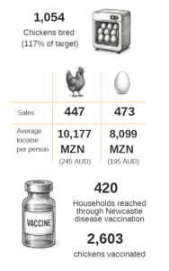 DFAT Mozmabique stats