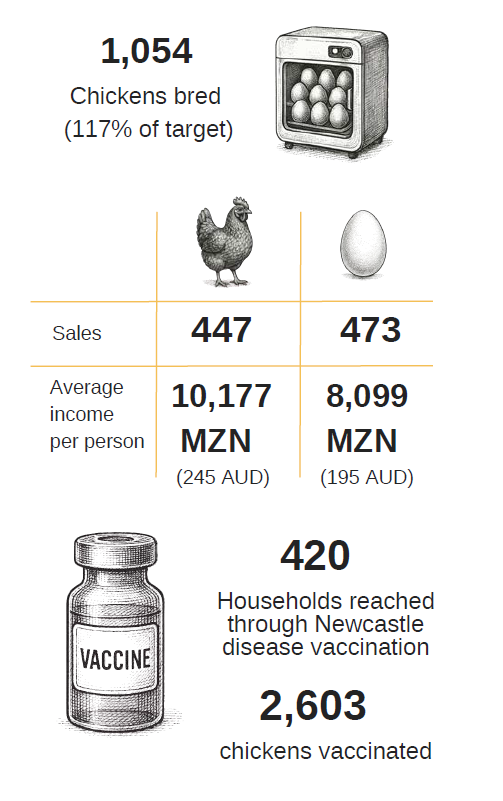 DFAT Mozmabique stats
