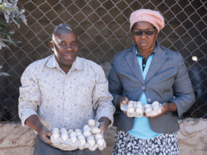 Mozambique Marracuene DFAT